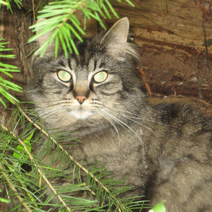 Meet your Posher, Ciara